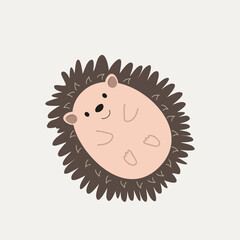 Cute Hedgehog mammal  top view