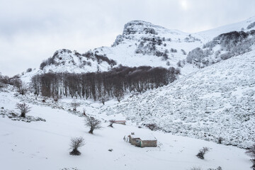 Fototapeta na wymiar views of gorbea natural park on winter season, basque country