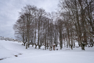 Fototapeta premium views of gorbea natural park on winter season, basque country