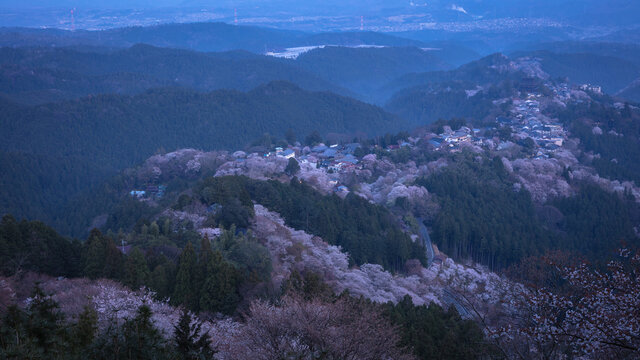 奈良県 Photos Royalty Free Images Graphics Vectors Videos Adobe Stock 奈良県 Photos Royalty Free Images Graphics Vectors Videos Adobe Stock