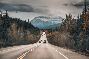 Car driving on the road in autumn forest and rocky mountains in Jasper national park - obrazy, fototapety, plakaty