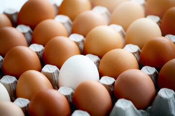 A white chicken egg among many yellow eggs lies on a cardboard box. A special egg, different from the others.