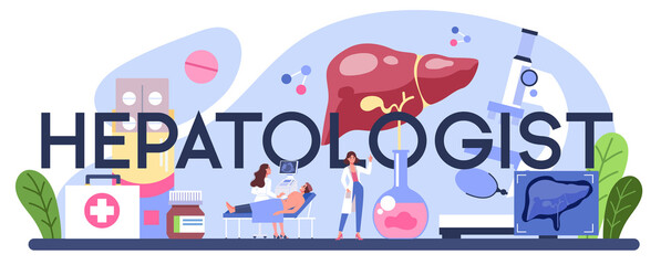 Hepatologist typographic header. Doctor make ultrasound liver examination.
