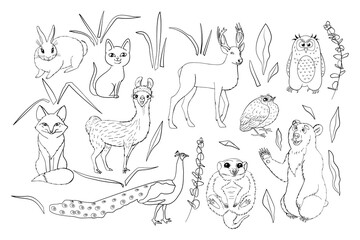 Kids coloring page with cute woodland animals set. Isolated on white background. Line art style vector illustration.