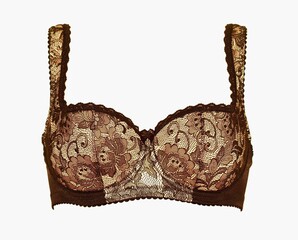 
Lace push up bra on a white background.
