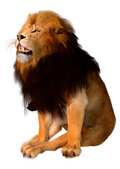 3D Rendering Male Lion on White