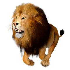 3D Rendering Male Lion on White