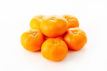 温州みかん
