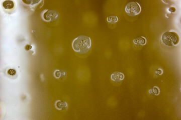 closeup soap bubbles on glass