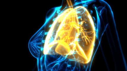 Fototapeta na wymiar cg healthcare 3d illustration, orange human lungs on x-ray scan