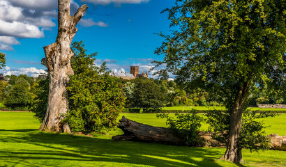 A view of the Cathedral from Verulamium Park, St Albans, UK in the summertime © Nicola