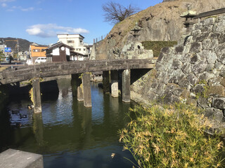 Fototapeta na wymiar Usuki Castle Ruins in Usuki City