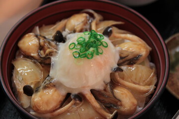 travel in Japan