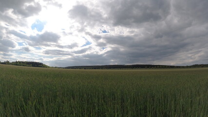 Felder, Wiese, Natur