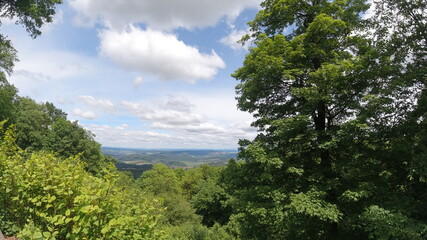 Waldfotografie, Bäume, Natur