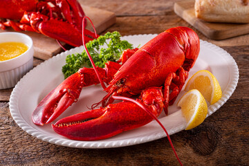Cooked American Lobster