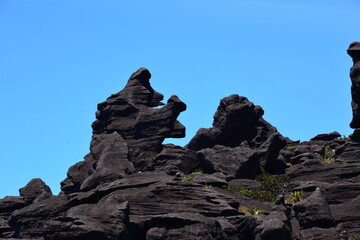 Gorilla stone, Roraima, Canaima, Venezuela