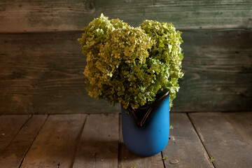 Bouquet of white hydrangea in a blue vase on a wooden background.