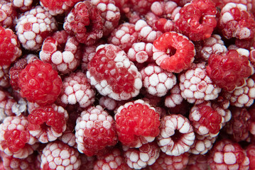 frozen raspberry close up
