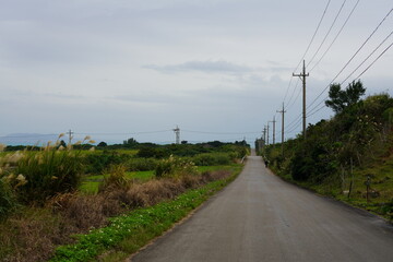 南の島の長閑な一本道