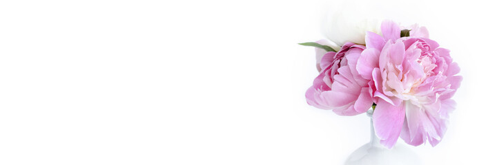 Header with bouquet of pink peony flowers on a white background. Mothers day concept. Gift for anniversary with copy space.