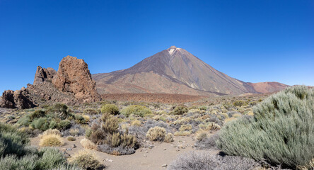 Vulkanlandschaft mit Büschen am Berg Teide auf der Insel Teneriffa, Kanarische Inseln bei wolkenlosem blauen Himmel