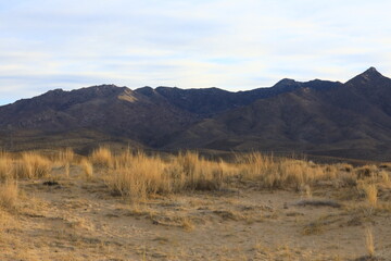 Death Valley Southwest Desert