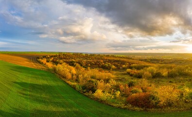 Flying over an green empty field