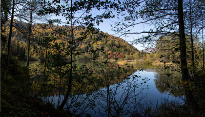 Obraz premium The view that effects us with the fascinating view of the lake and green nature. As additional information, the name of this lake is Karagol and it is located in Artvin/Turkey