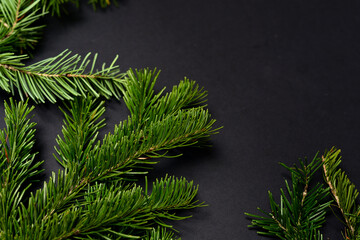 Black background with green pine branches at the bottom. Horizontal. 