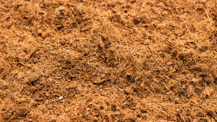 Coconut substrate background.