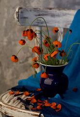 A Little Red Poppies Bouquet in blue vase on wintage chair