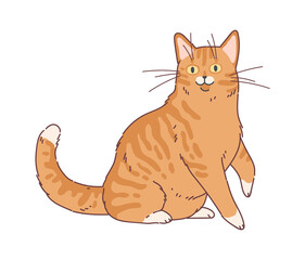 Cartoon cat. Cute funny lazy kitten, adorable home animal, red-headed domestic purebred pet, vector modern simple single mascot character isolated on white background illustration