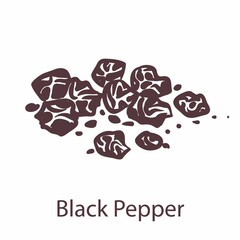 Black pepper. Hand drawn fragrant bitter hot seeds, sketch for labels and packages in engraving style. Aromatherapy antioxidant spice cooking symbol for menus vector single element
