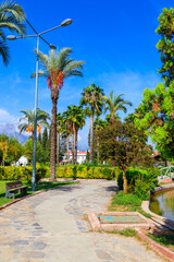 Fototapeta premium Pedestrian walkway and palm trees in a city park. Tropical landscape