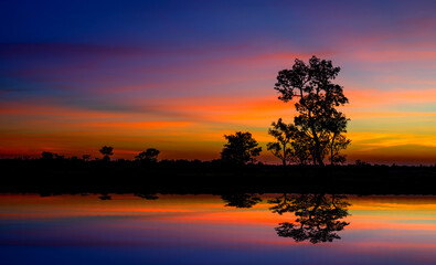 Panorama silhouette tree in asia with sunset.Tree silhouetted against a setting sun reflection on water.