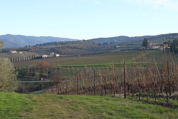 tardo pomeriggio invernale nella campagna toscana