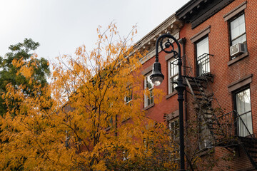 Row of Old Brick Apartment Buildings in Greenwich Village of New York City with Colorful Trees during Autumn