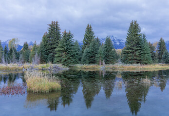 Scenic Reflection Landscape in the Tetons in Autumn