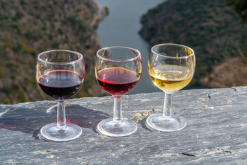 Tasting of Portuguese fortified port wine, produced in Douro Valley with Douro river and colorful terraced vineyards on background in autumn, Portugal