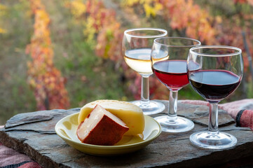 Taste of Portugal, fortified port wines and goat and sheep cheeses produced in Douro Valley with...