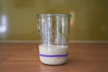 sourdough starter