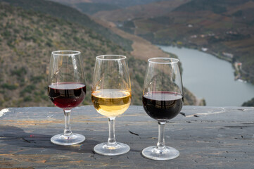 Tasting of Portuguese fortified port wine, produced in Douro Valley with Douro river and colorful terraced vineyards on background in autumn, Portugal