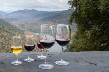 Tasting of Portuguese fortified port wine and dry red wine, produced in Douro Valley with Douro river and colorful terraced vineyards on background in autumn, Portugal