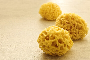 Natural bath sponges at bright background close-up. Object with perforations.