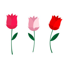 Three flowers. A design element for the holidays. Flat illustration with red, white and pink flower