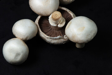 Champignons on a black background. White mushrooms. Natural product. Healthy food.