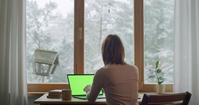 Relaxed woman working on computer at home by wooden window slow motion. Back portrait of girl typing on laptop drinking coffee tea for relaxation. Lockdown quarantine stay at home concept