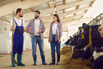 Smiling farmers and barn worker with spade in hand standing in cowshed and talking - obrazy, fototapety, plakaty