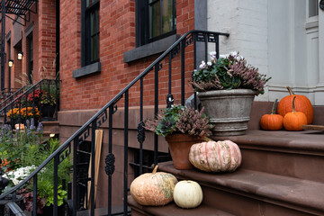 Colorful Pumpkins and Flowers on the Stairs of an Old Brownstone Home in New York City during Autumn